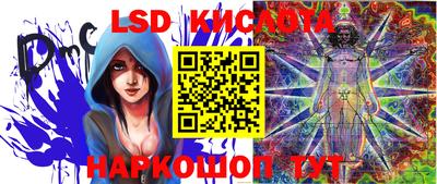 дмт Новозыбков