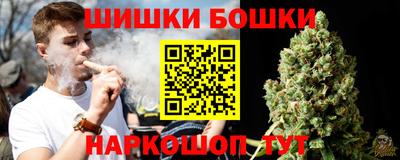 дмт Новозыбков