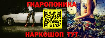 дмт Новозыбков
